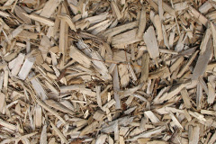 biomass boilers Dafen